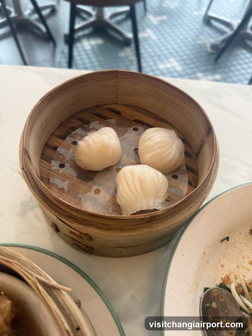 Dim Sum Steamed Dumplings