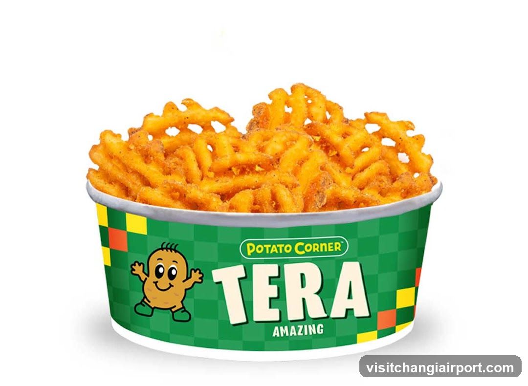 Potato Corner Tera Fries