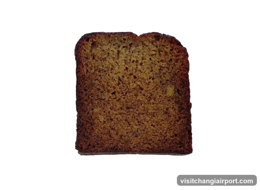 Slice of Bread