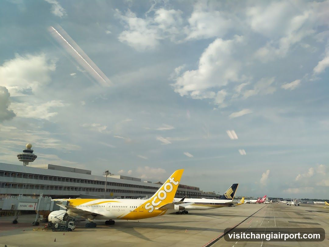 Airport Tarmac with Scoot Aircraft