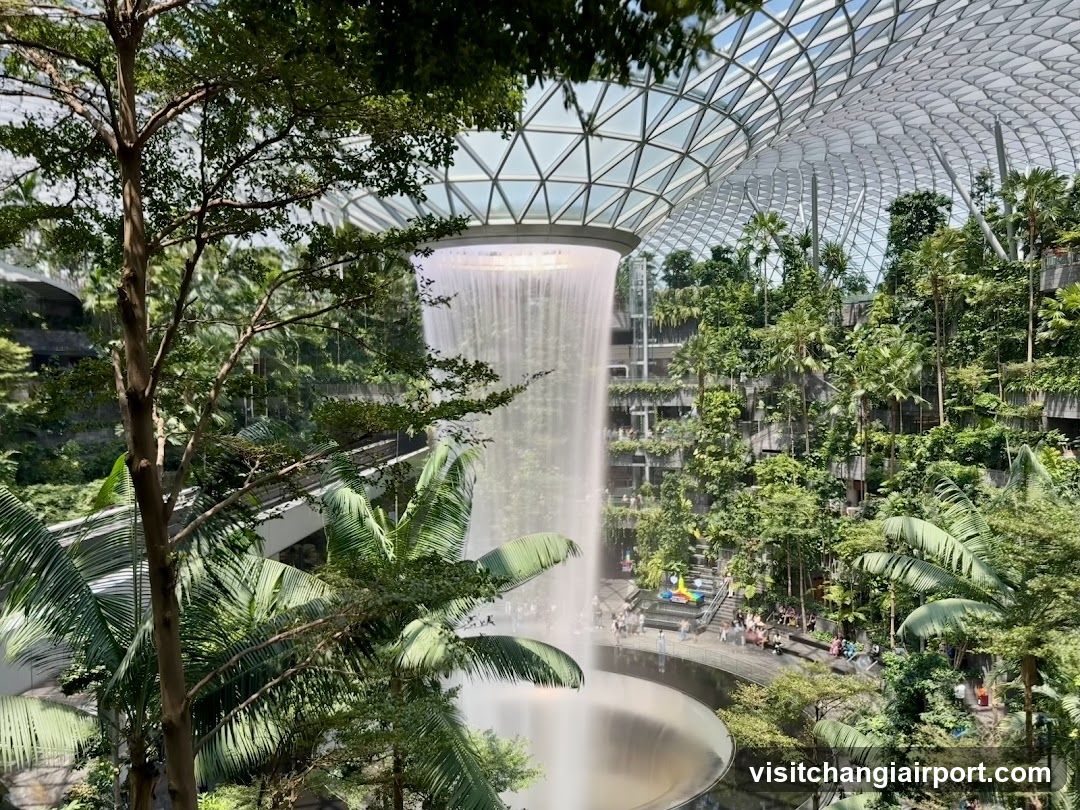 Indoor Waterfall Garden