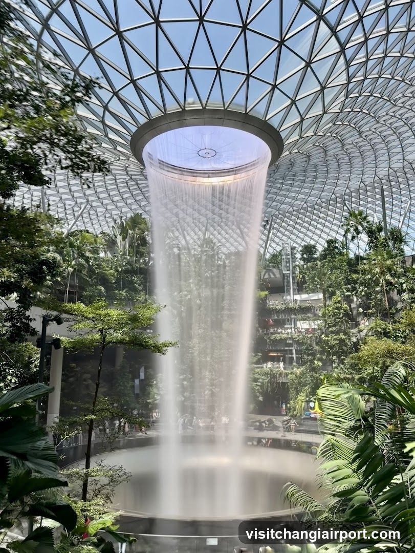 Indoor Waterfall in a Tropical Setting
