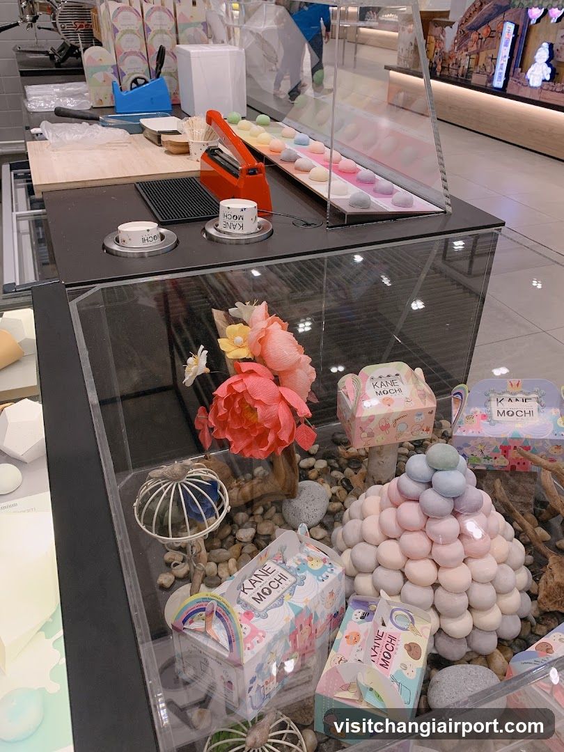 Kane Mochi Display Case