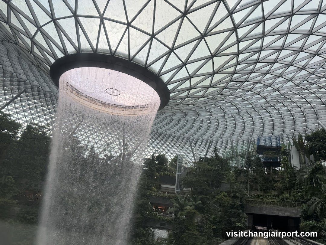 Cloud Forest Waterfall