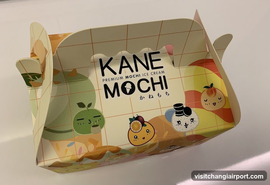 Kane Mochi Ice Cream Box