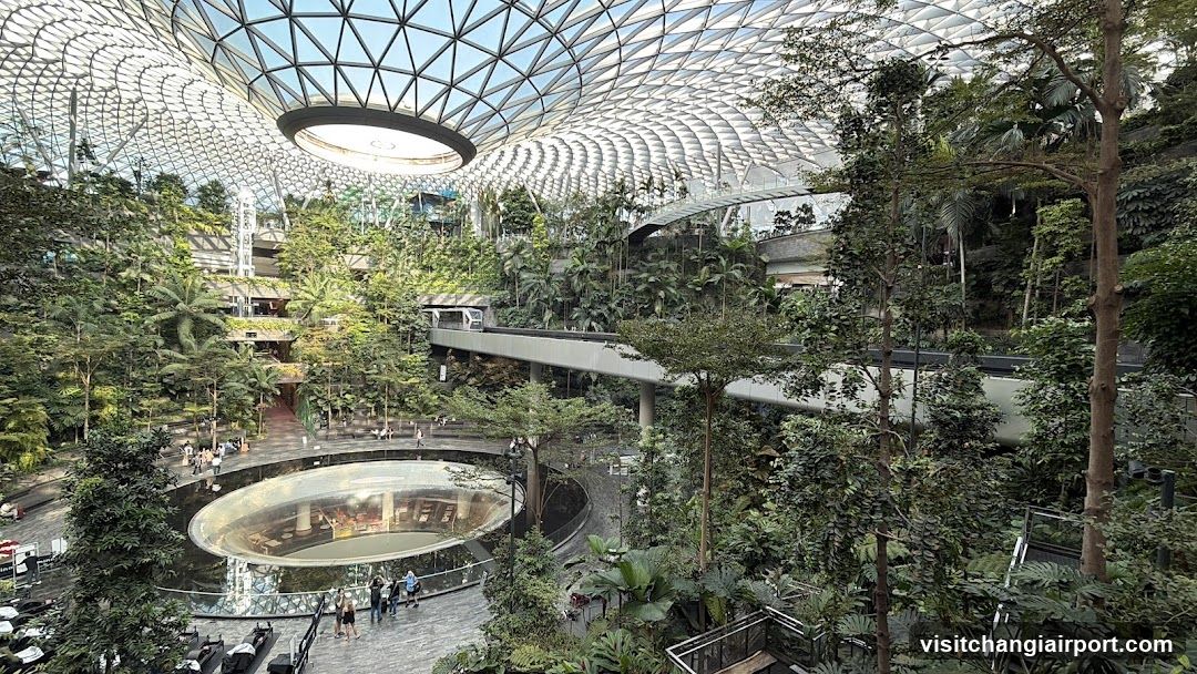 Indoor Garden Interior