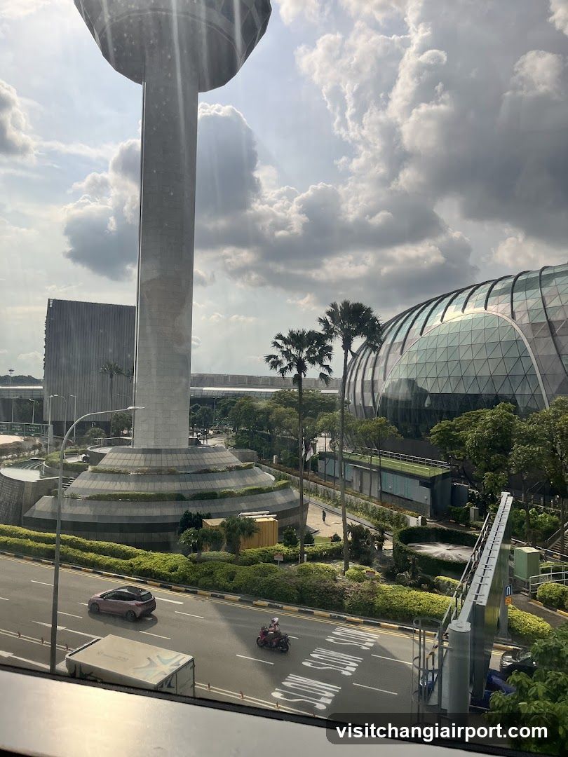 View of Singapore's Supertree Grove and Gardens by the Bay
