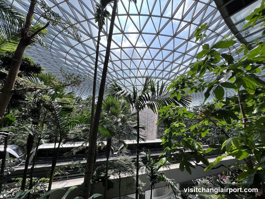 Indoor Garden with Glass Dome