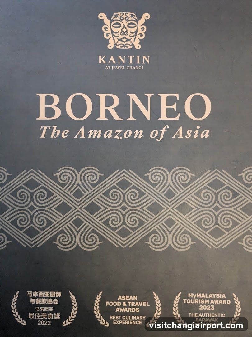 Borneo - The Amazon of Asia
