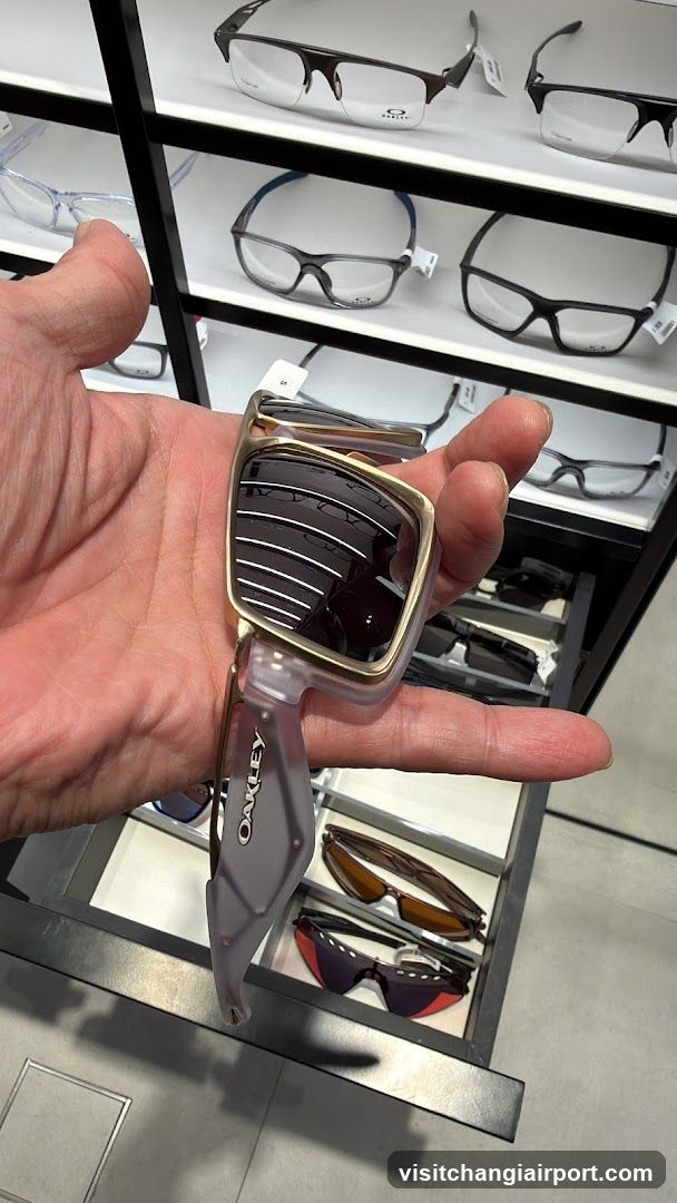 Eyewear Display Interior