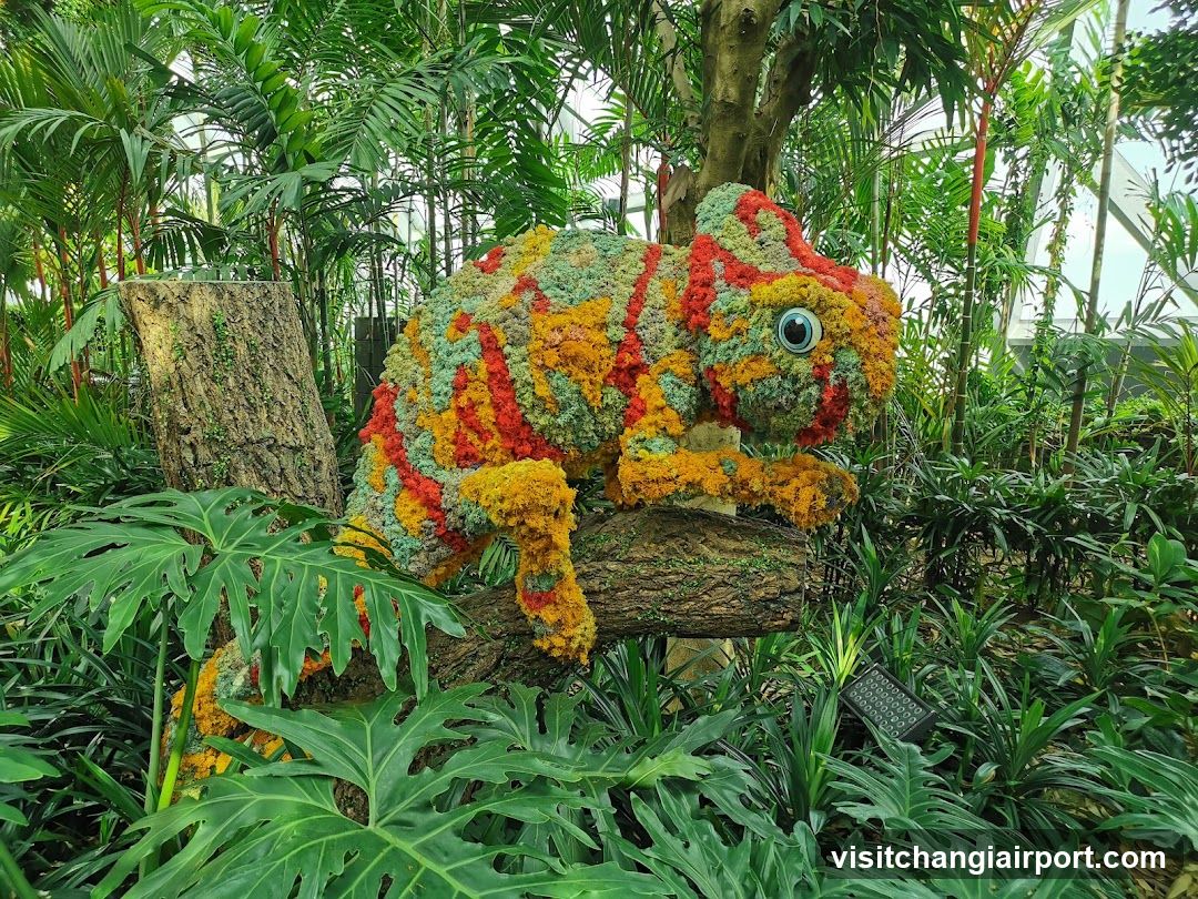 Canopy Park - Jewel Changi