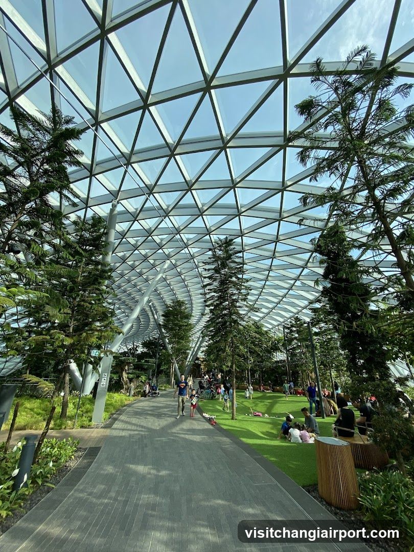 Canopy Park - Jewel Changi