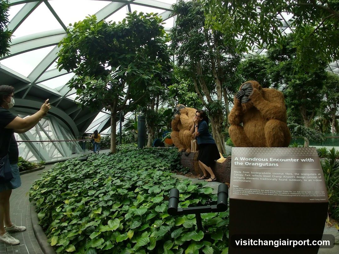 Canopy Park - Jewel Changi