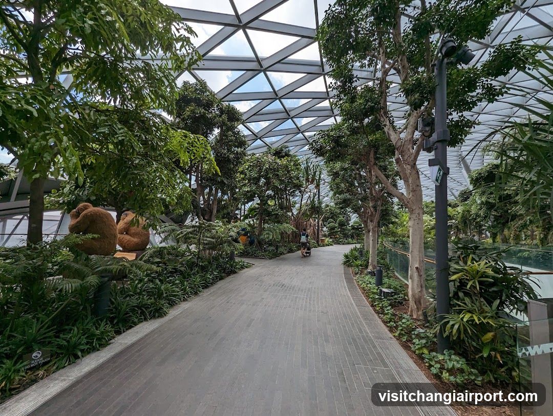 Canopy Park - Jewel Changi