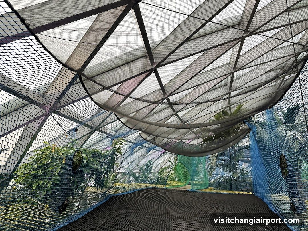 Enclosed Garden Pathway