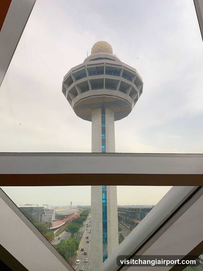 Observation Tower View