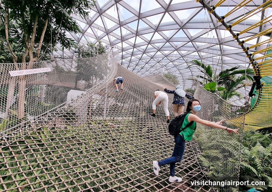 People on a net bridge in a botanical garden