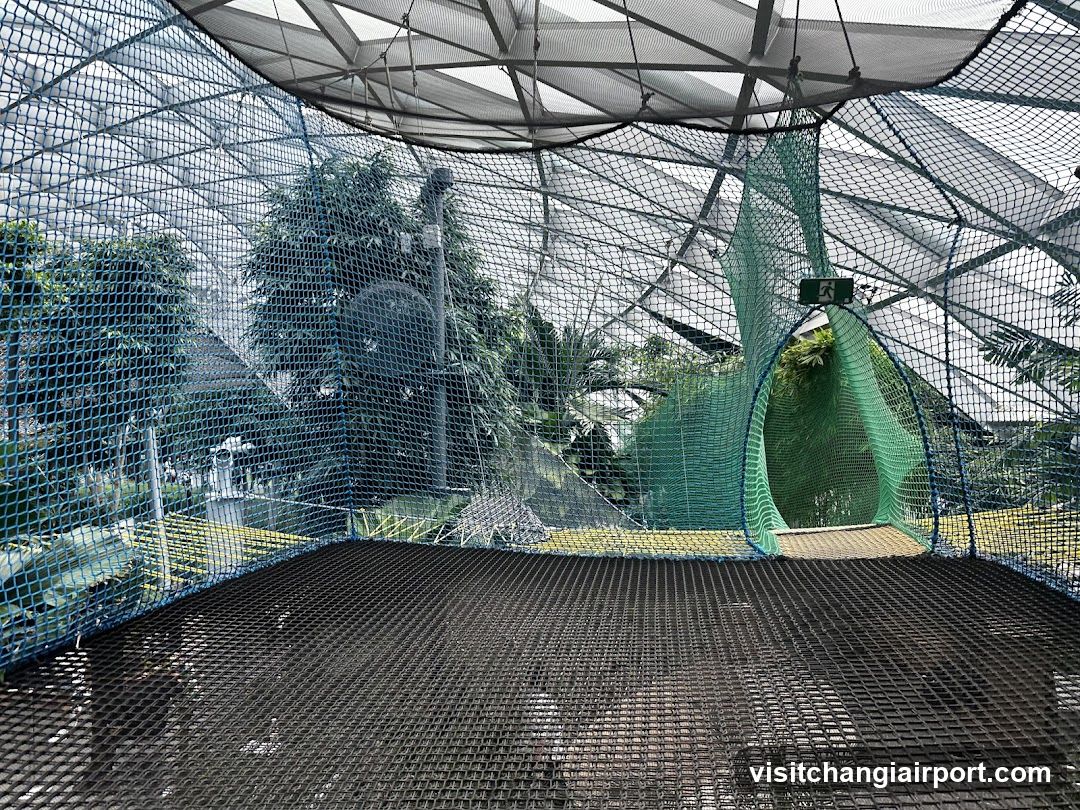 Enclosed Outdoor Platform with Netting