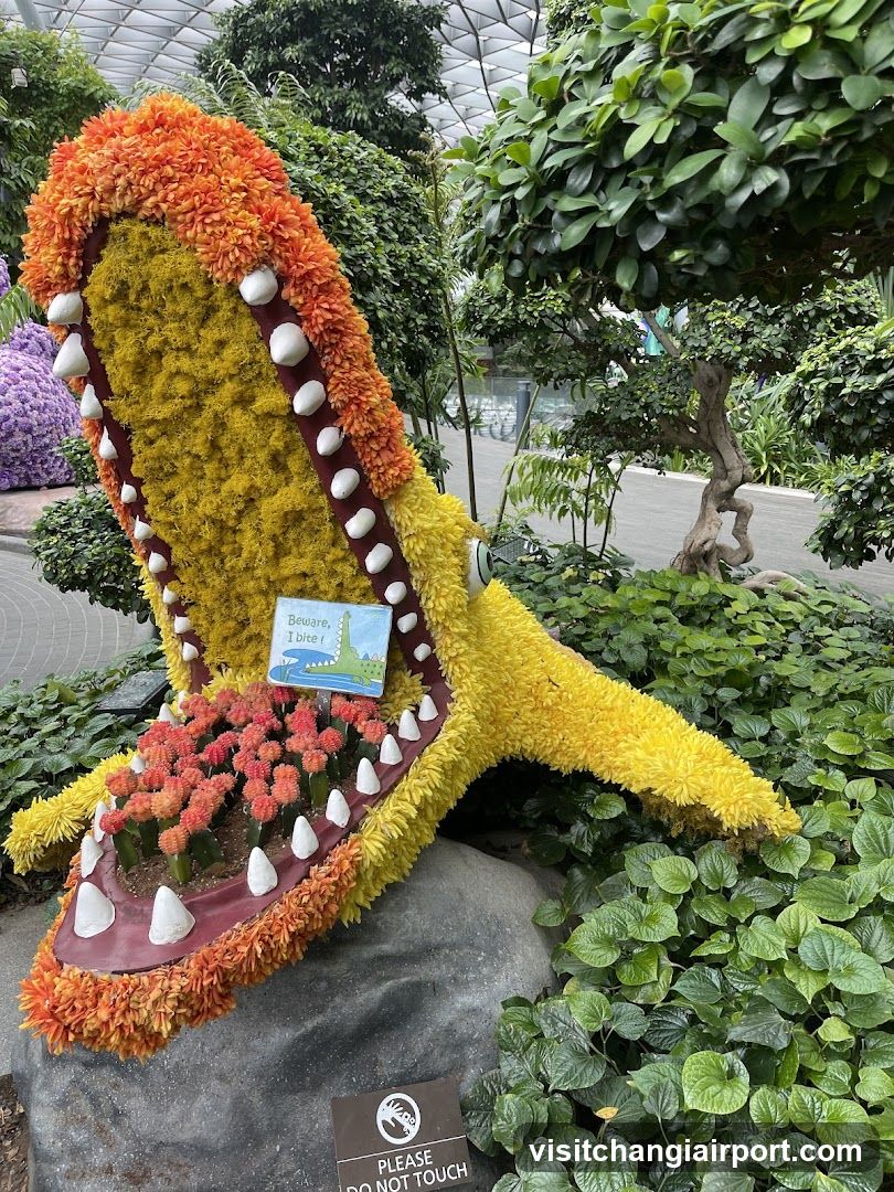 Flower Shoe Display