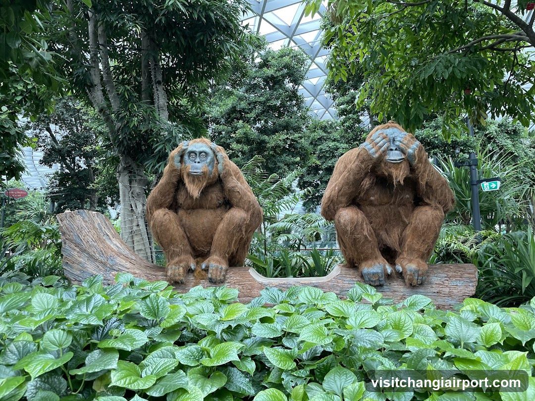 Two apes in a garden setting
