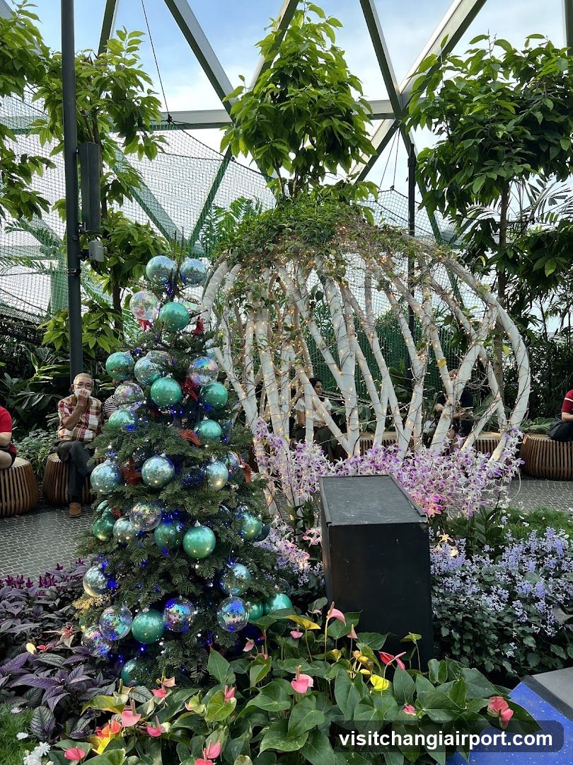 Christmas Tree Display in Greenhouse