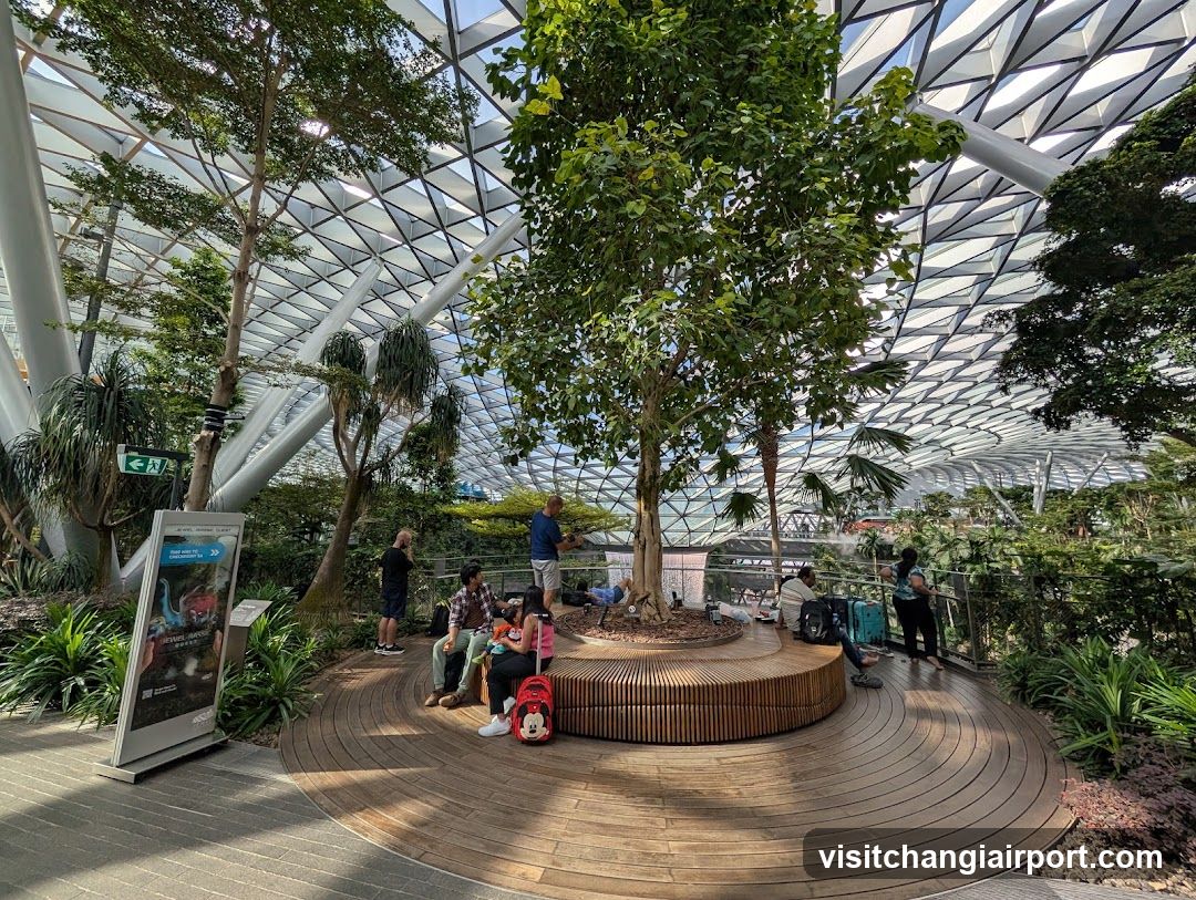 Indoor Garden Scene with People Relaxing