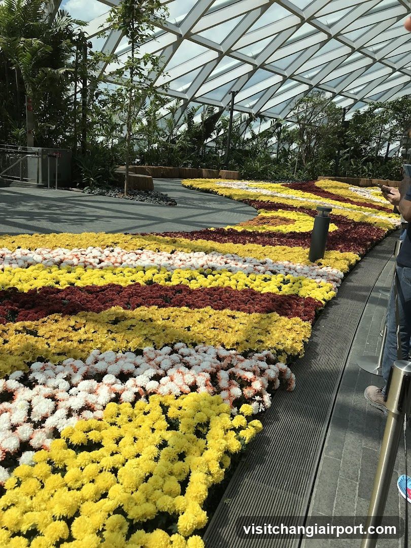Flower Garden in Greenhouse