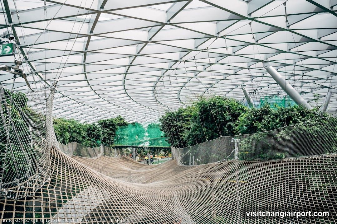 Indoor Jungle Walkway