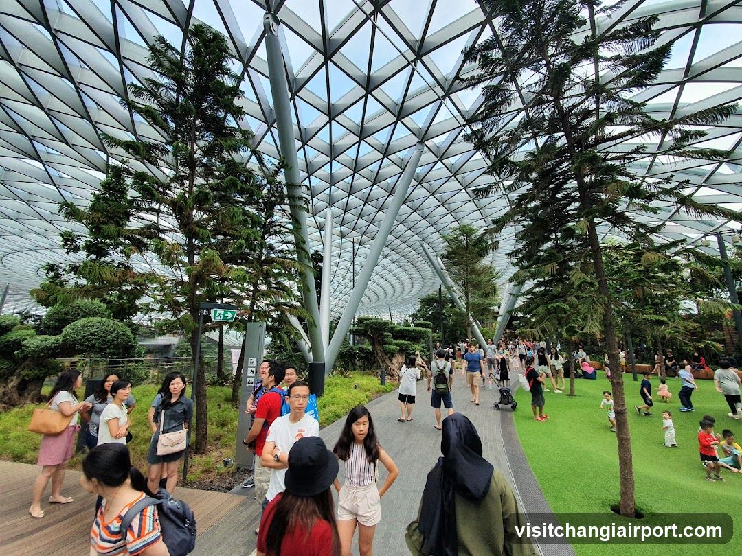 Gardens by the Bay - Cloud Forest Walkway