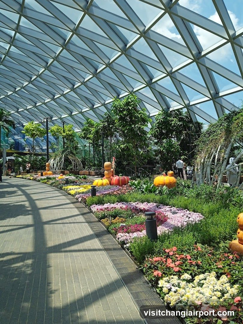 Flower Garden Under Glass Dome