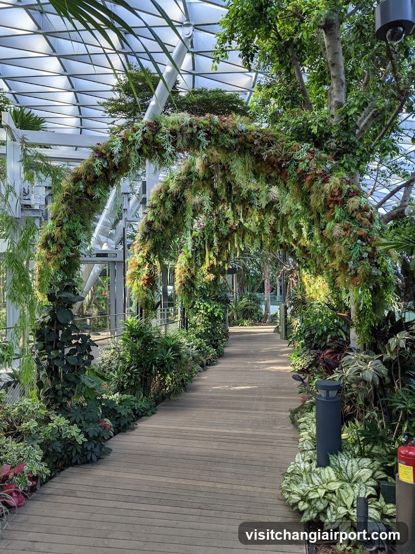 Botanical Garden Pathway