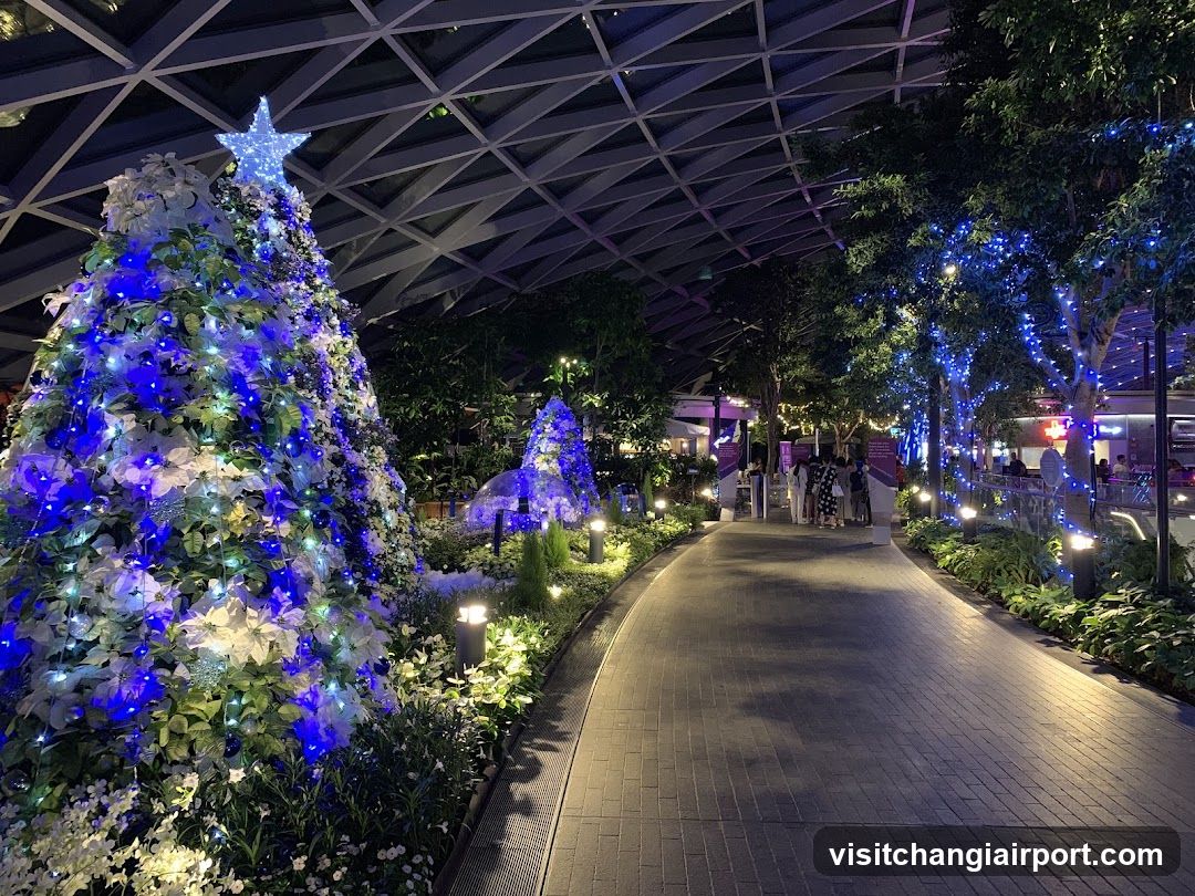 Christmas Night Scene