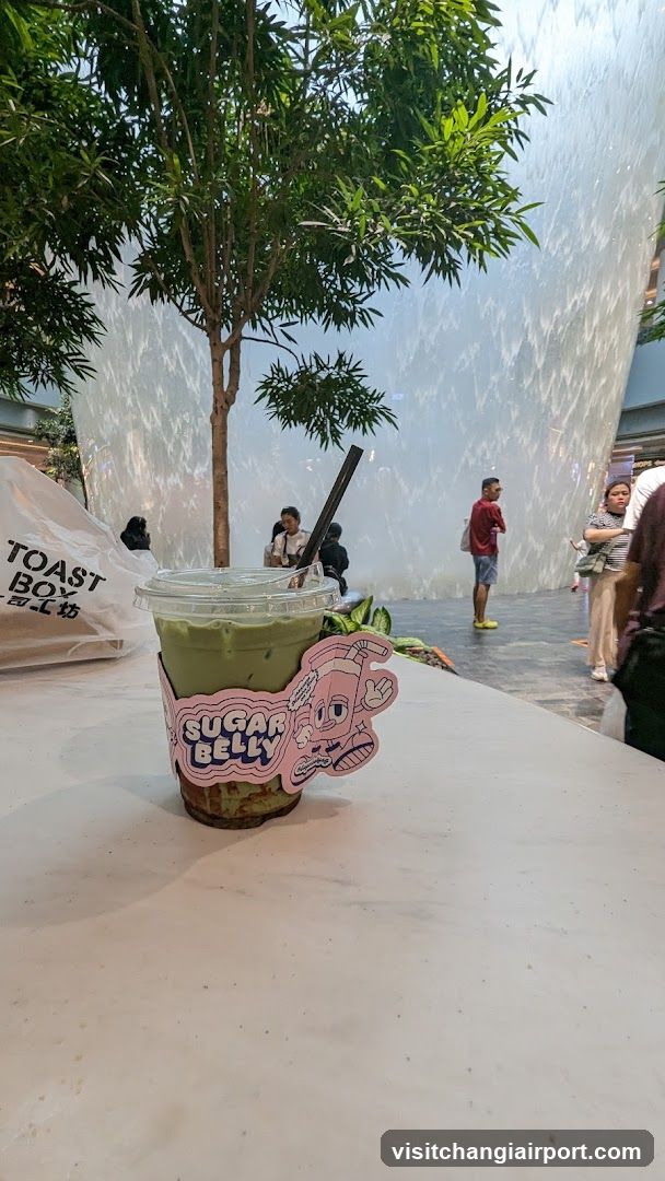 Matcha drink with Sugar Belly sticker