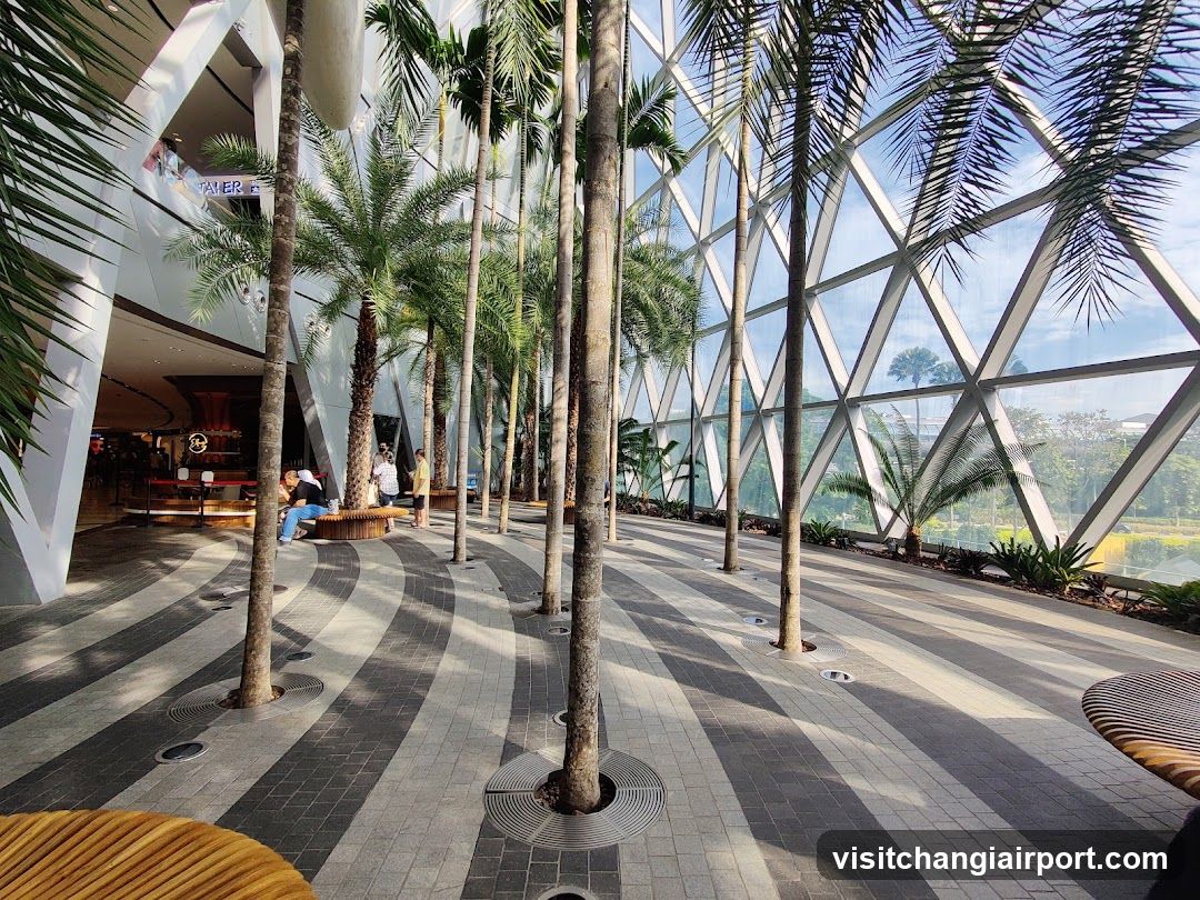 Indoor Palm-lined Walkway with Geometric Glass Structure