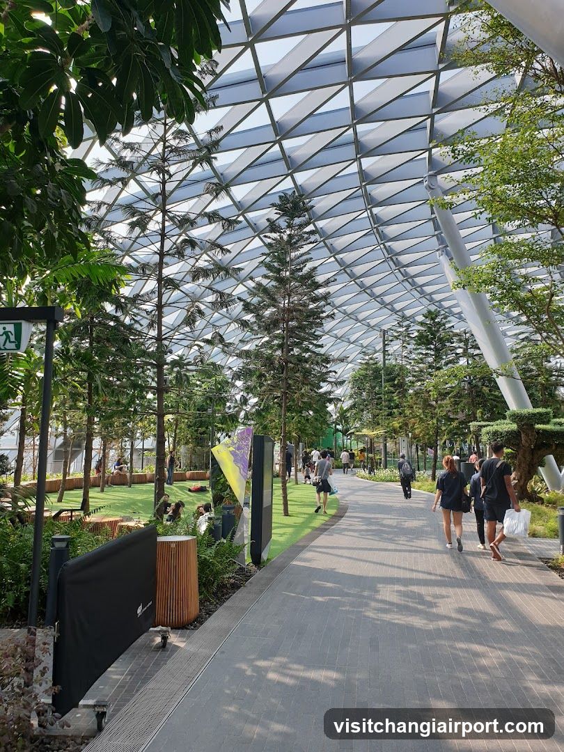 Indoor Garden Walkway