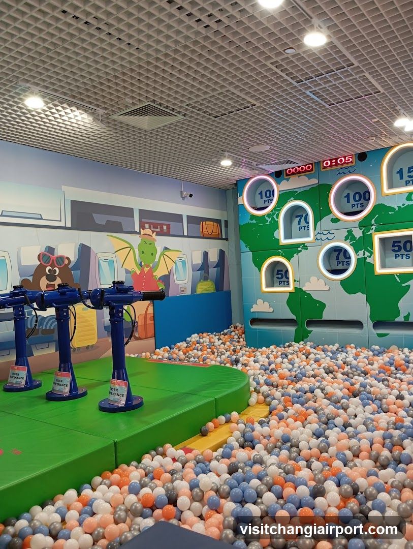 Indoor Play Area with Ball Pit and Shooting Game