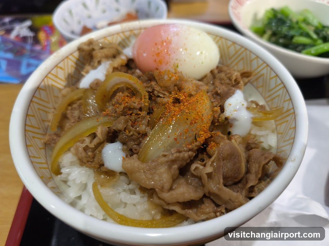 Bowl of Beef and Egg Rice