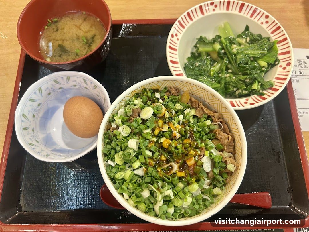 Japanese Lunch Tray