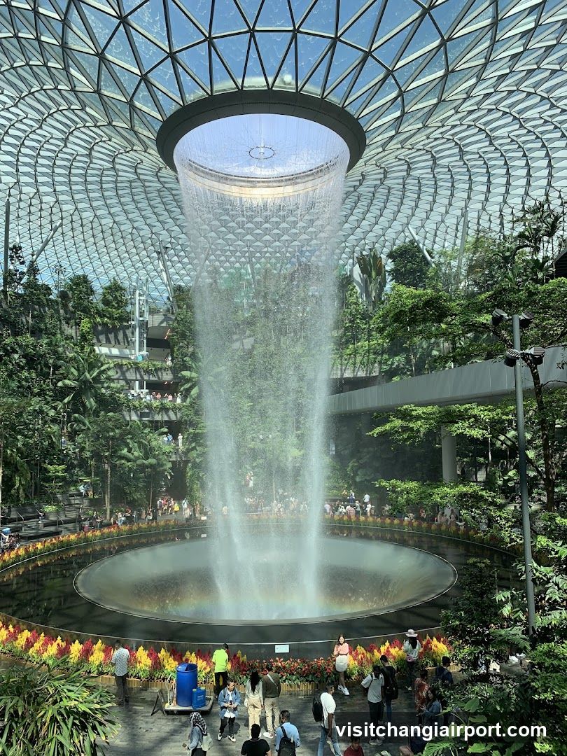 Indoor Waterfall Garden