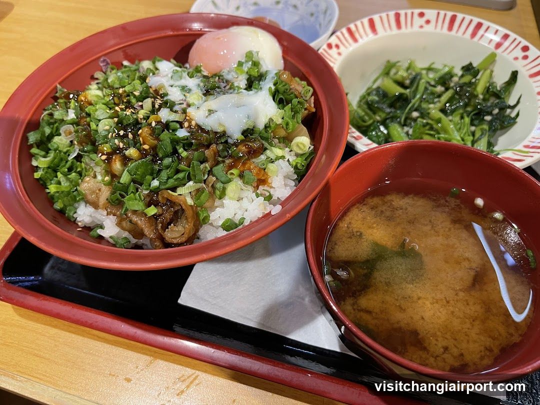 Japanese Meal Set