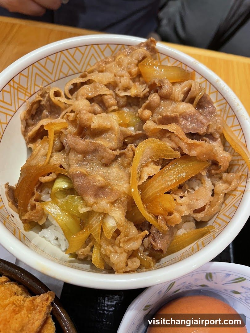 Bowl of Beef and Onion Rice