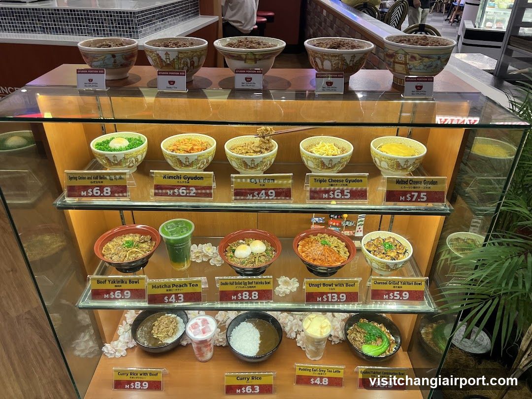 Ramen Display Case