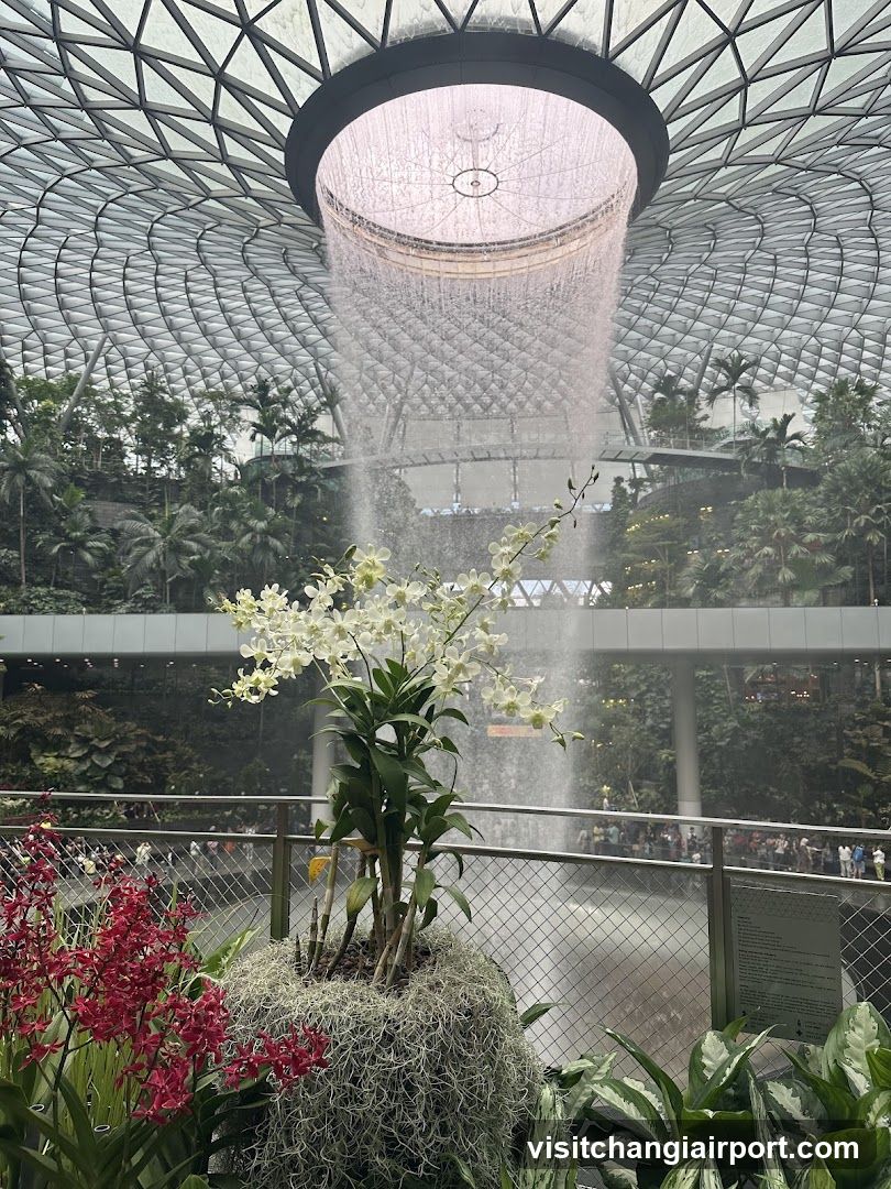 Indoor Garden with Waterfall Feature