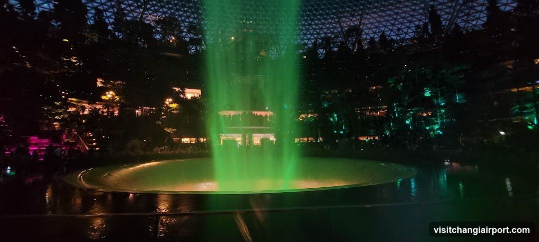 Nighttime Fountain Display in Tropical Garden