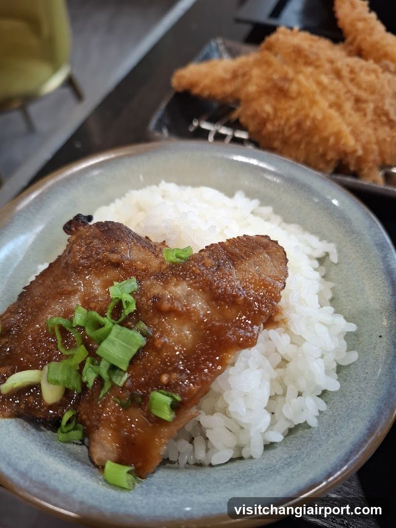 Grilled Meat Rice Bowl with Fried Cutlet