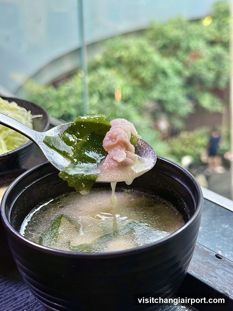 Soup with Wontons and Seaweed