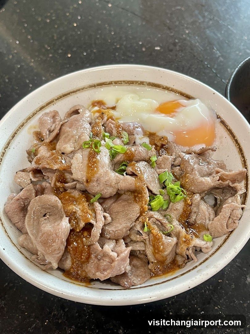 Bowl of Meat with Egg