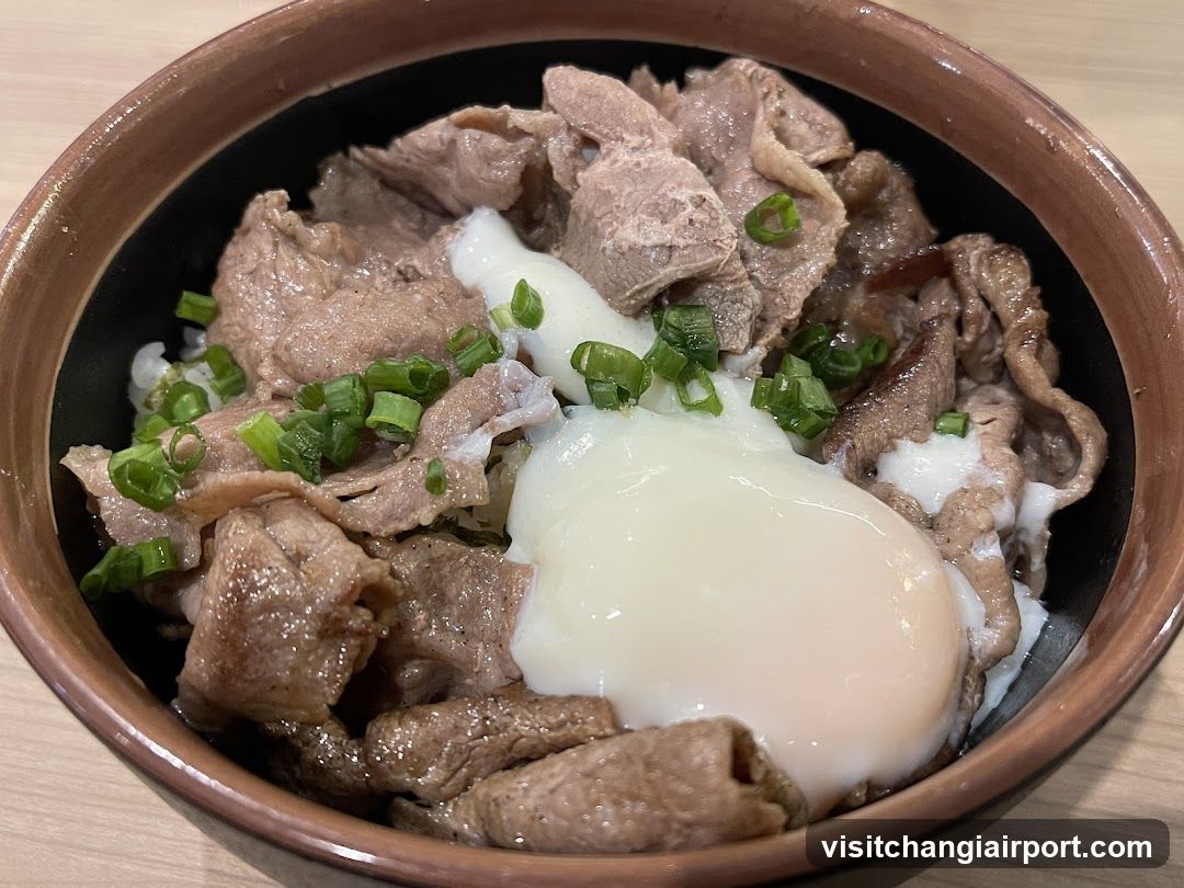 Beef Bowl with Egg