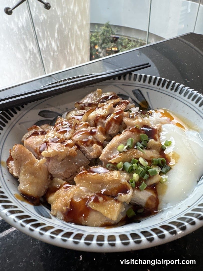 Pork Rice Bowl with Egg and Green Onions