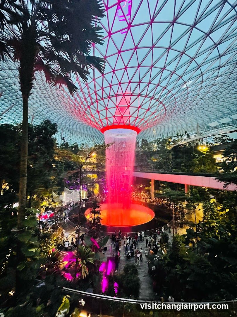 Supertree Grove at Jewel Changi